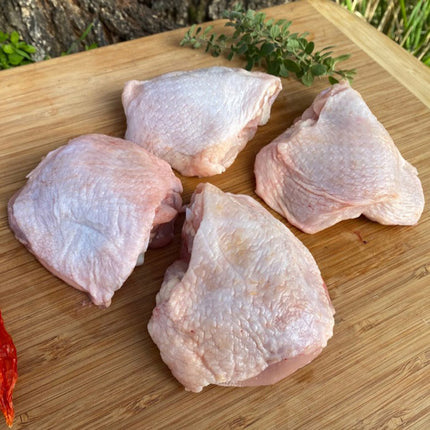 Trutro Corto cj 11 kilos