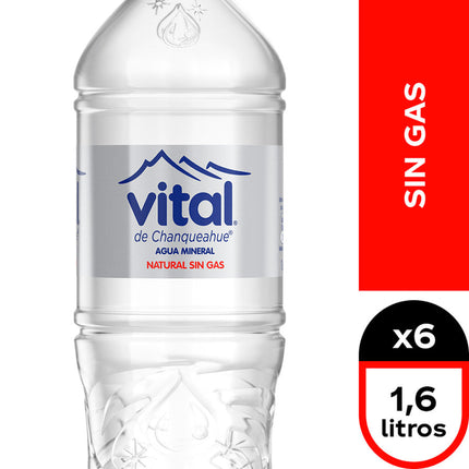 Pet 1,6 lt cg/sg Vital, 12 unidades